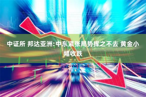 中证所 邦达亚洲:中东紧张局势挥之不去 黄金小幅收跌